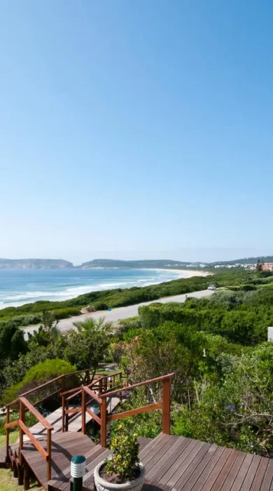 robberg 681