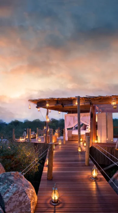 lion sands river lodge south africa sunset yellow zebra safaris