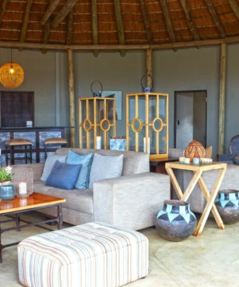 bar and lounge, thanda tented camp, kwazulu natal safaris, south africa