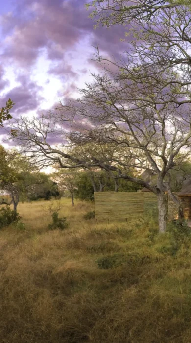 Makanyi Lodge Rooms 6