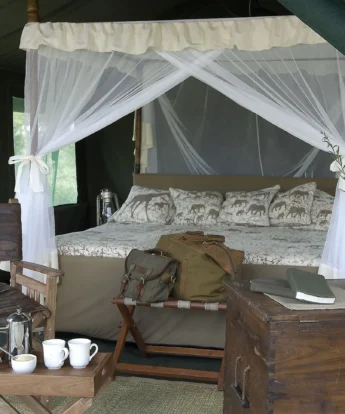 Traditional safari tent tanzania