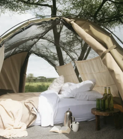 tent bed, wayo fly camping, the serengeti, tanzania