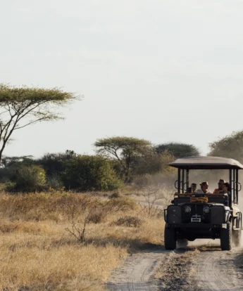 game drive, usanga expedition camp, ruaha national park, tanzania