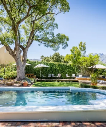 swimming pool macaron boutique guest house south africa yellow zebra safaris