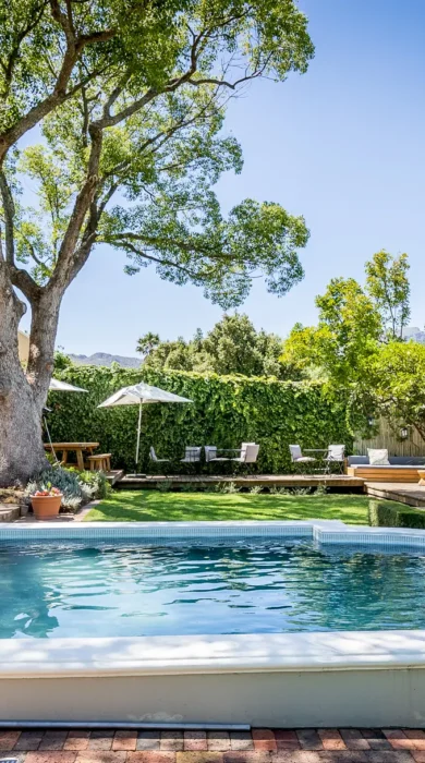 swimming pool macaron boutique guest house south africa yellow zebra safaris