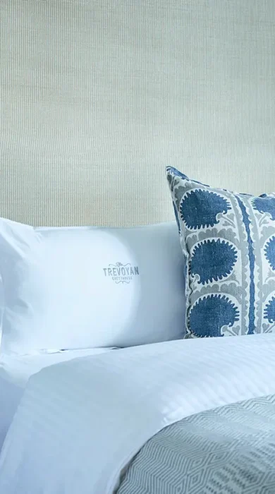 queen, trevoyan guesthouse, cape town, south africa