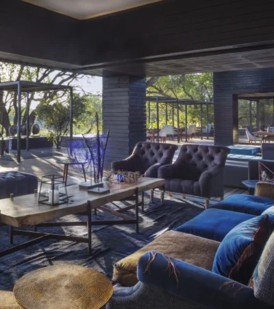 silvan safari lodge lounge area south africa yellow zebra safaris
