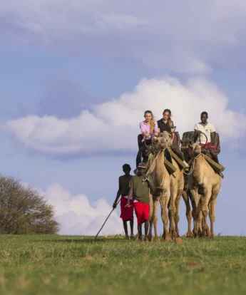 Camel trekking kenya