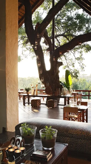 Londolozi Varty Main Area
