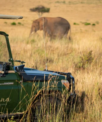 sand rivers tanzania game drives