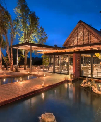 lion sands river lodge dining south africa yellow zebra safaris