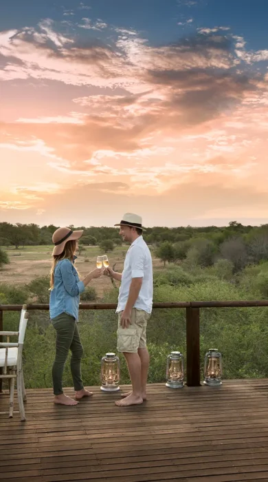 lion sands river lodge decking yellow zebra safaris