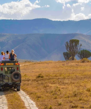 chui lodge game drive kenya yellow zebra safaris