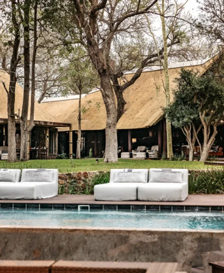swimming pool, dulini moya, sabi sand reserves, south africa