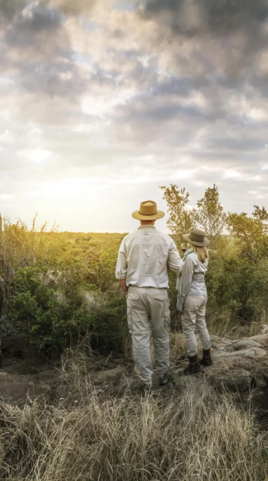 dulini lodge sundowner south africa yellow zebra safaris