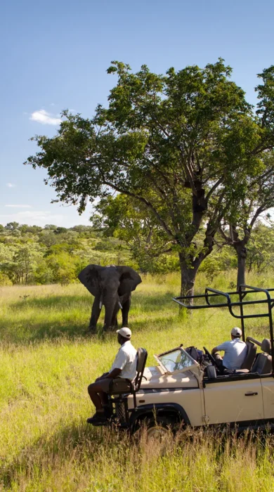 ulusaba game drive