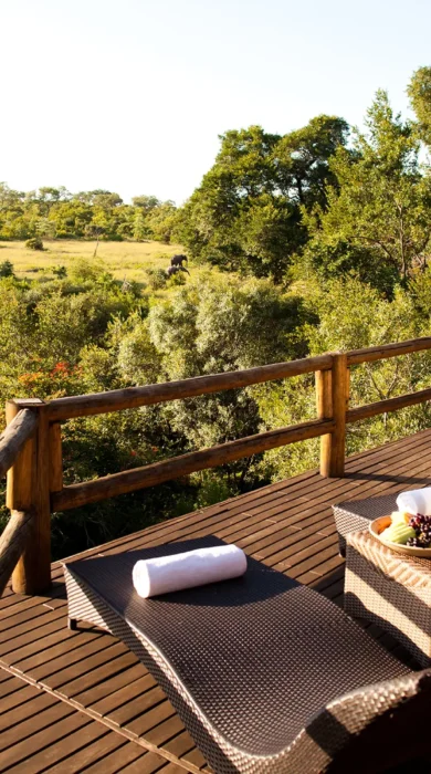 ulusaba elephant room deck