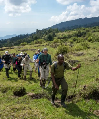 Trekking, Wilderness Bisate, Volcanoes NP, Rwanda