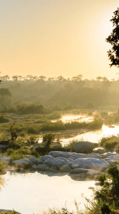 Singita Boulders Lodge 13