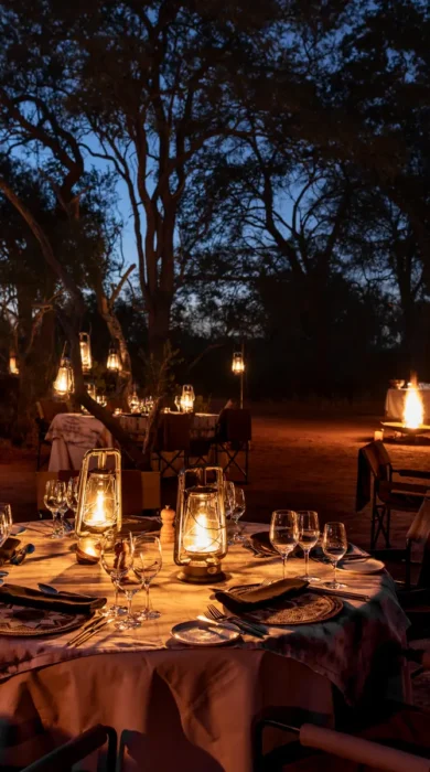 singita ebony lodge night dining south africa yellow zebra safaris