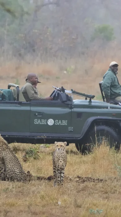 Safari (59)