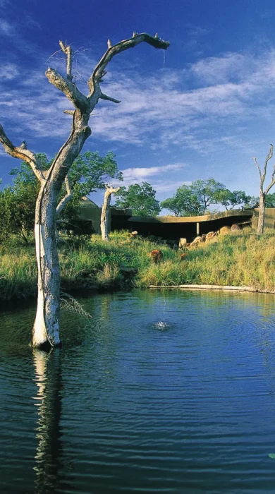 Earth Lodge View from Waterhole