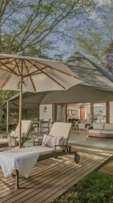 savanna private game reserve pool yellow zebra safaris