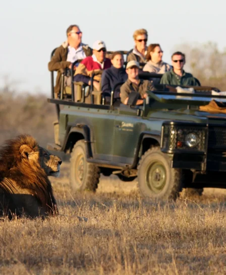 savanna safari