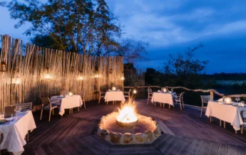 evening dining, simbambili game lodge, sabi sand reserves, south africa