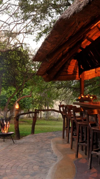 Bar and garden view PKP