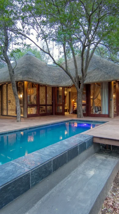 dulini leadwood south africa pool deck yellow zebra safaris