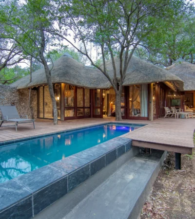 dulini leadwood south africa pool deck yellow zebra safaris