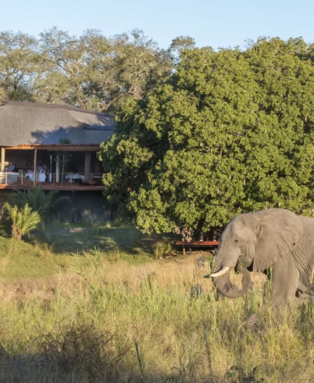 Dulini River Lodge