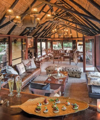 Kings Camp Bar south africa yellow zebra safaris