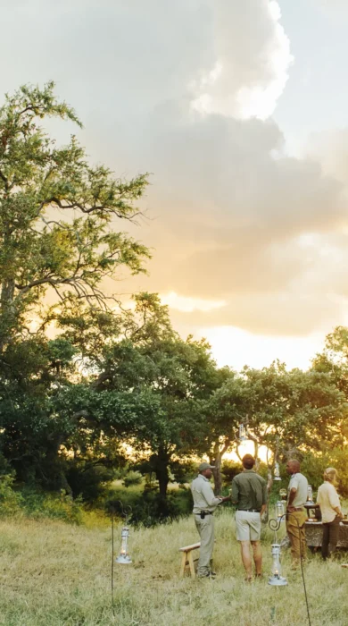 sundowners, tanda tula safari camp, timbavati private game reserve, south africa