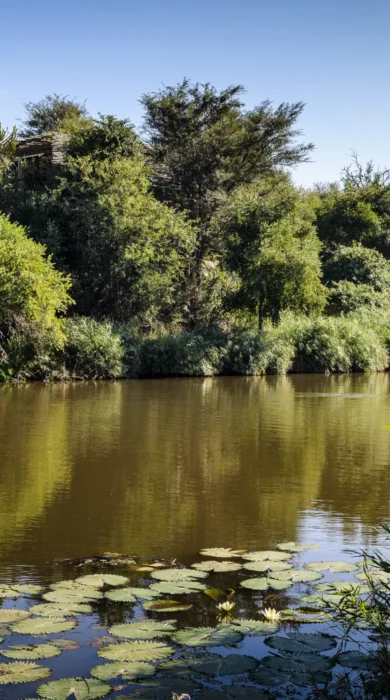 Singita Sweni Lodge 1