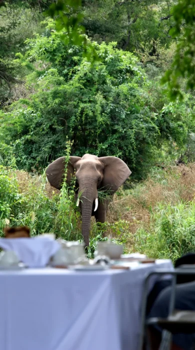 Singita Lebombo Lunch