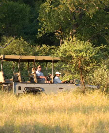 game drives, makuleke contractual park, south africa