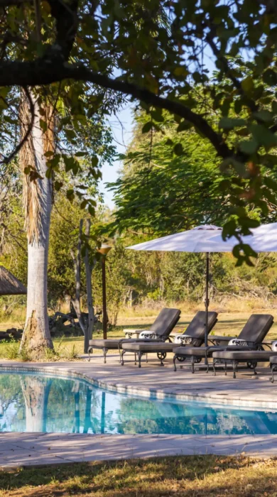 pool, inyati lodge, sabi sands reserves, south africa