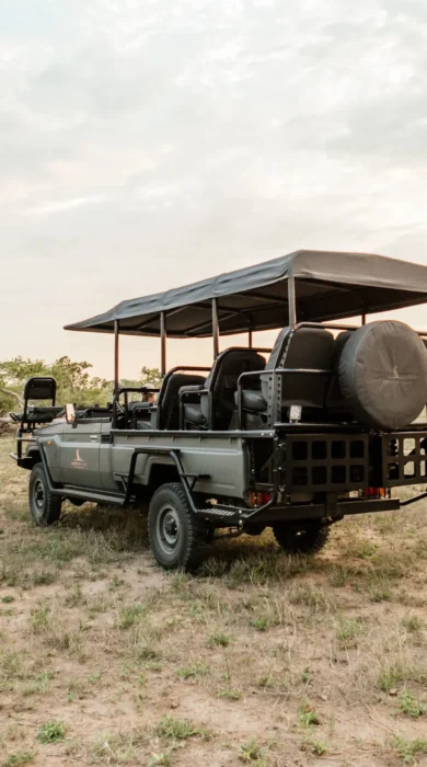 game drive, cheetah plains, sabi sands, south africa