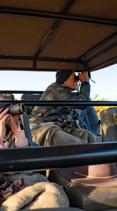 game drive, family safari, Jabulani, kruger national park, south africa