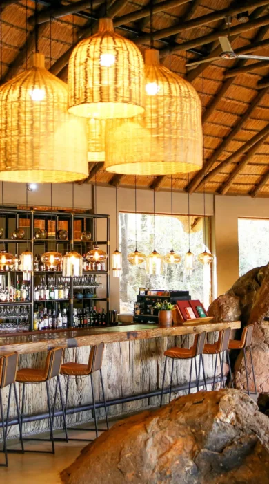 madikwe hills bar south africa yellow zebra safaris