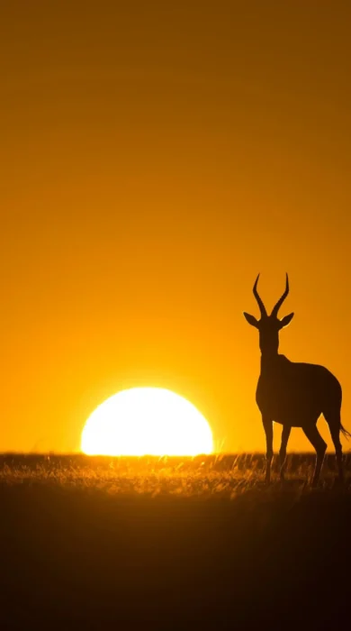Sunset, Shamwari Eagles Crag, Shamwari, South Africa