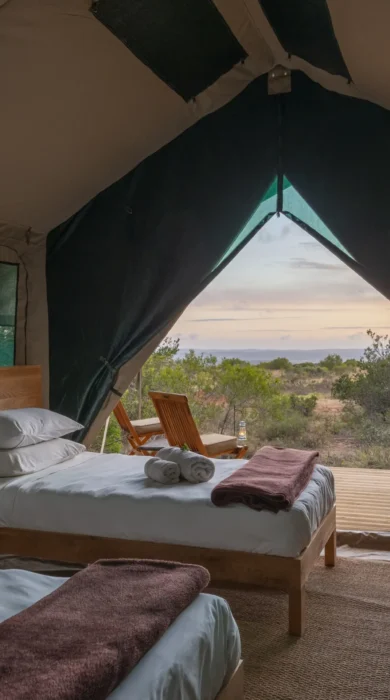 Double Tent, Shamwari Explorer Camp, Shamwari, South Africa