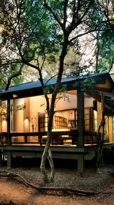 Suite, Phinda Forest, Phinda, South Africa