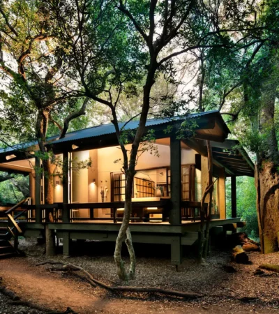 Suite, Phinda Forest, Phinda, South Africa
