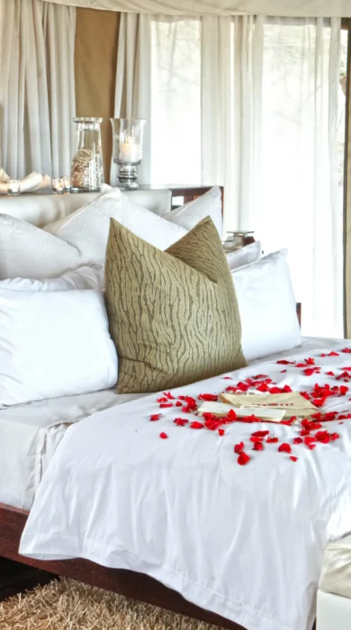 honeymoon suite, thanda tented camp, kwazulu natal safaris, south africa
