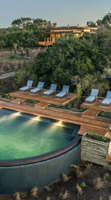 swimming pool ukhozi lodge kariega south africa yellow zebra safaris
