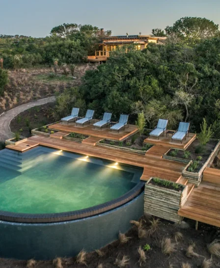 swimming pool ukhozi lodge kariega south africa yellow zebra safaris