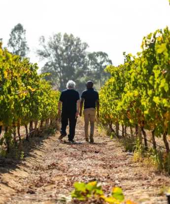Winelands Experience, One&Only, Cape Town, South Africa